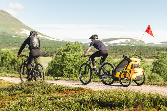 Náhled produktu - Thule Chariot Sport 1 Spectra Yellow
