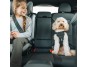 Thule Cappy - postroj do auta pro psa vel.S