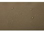 Thule Chasm Duffel roller TCWD232 - Deep Khaki